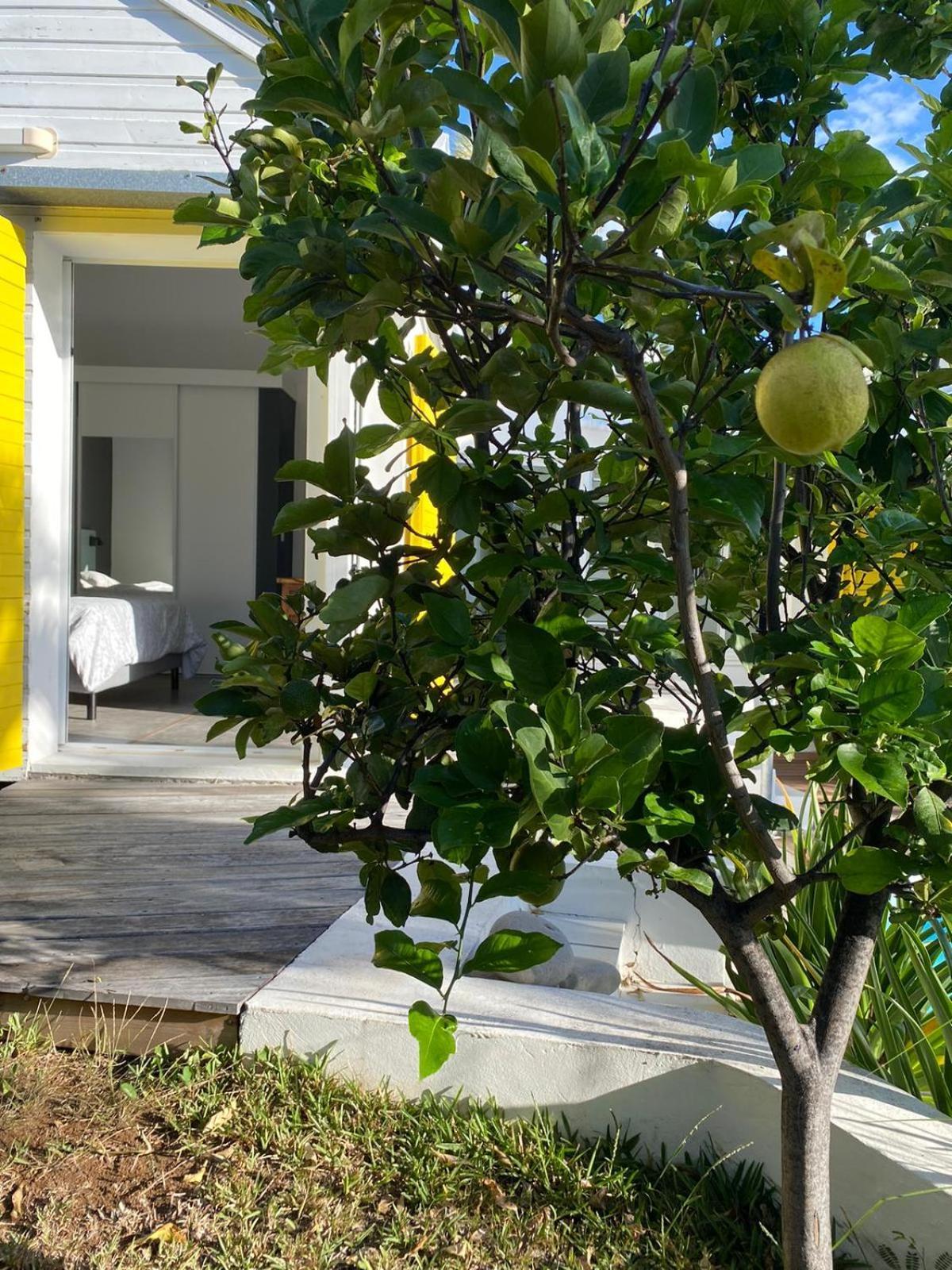 Villa Ylang Saint-Gilles Les Bains Zewnętrze zdjęcie